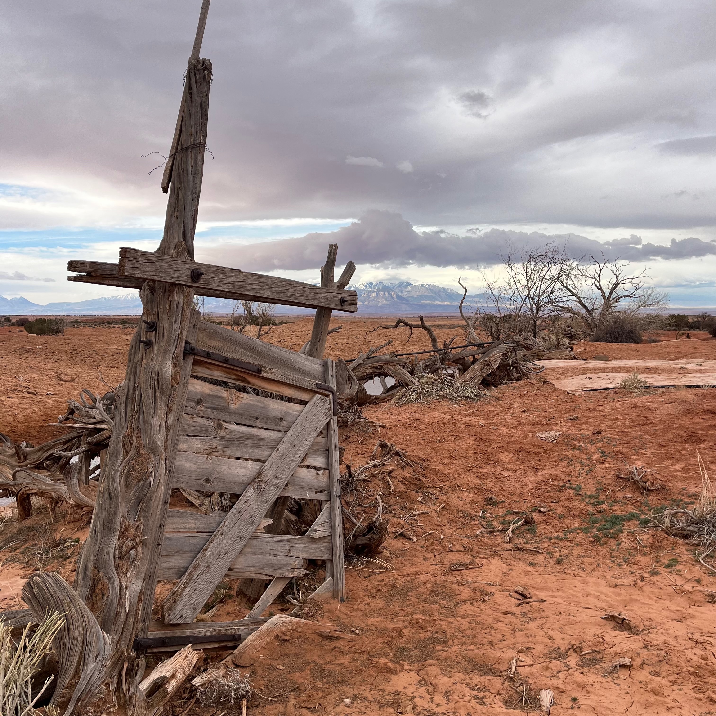 Weathered wooden fence gate in the desert